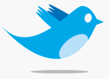 Twitter Twitter