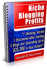 Niche Blogging