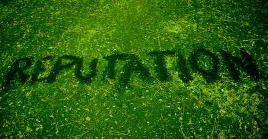 reputation management