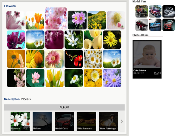 Wordpress