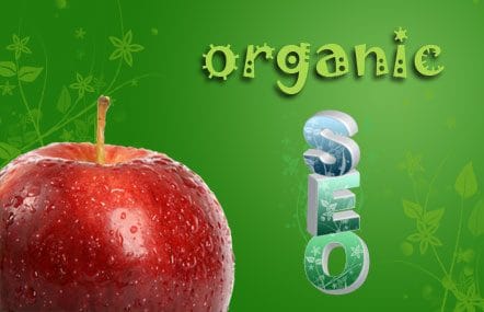 Organic SEO